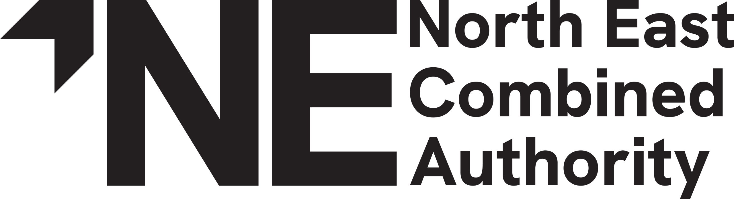 North East Combined Authority Logo